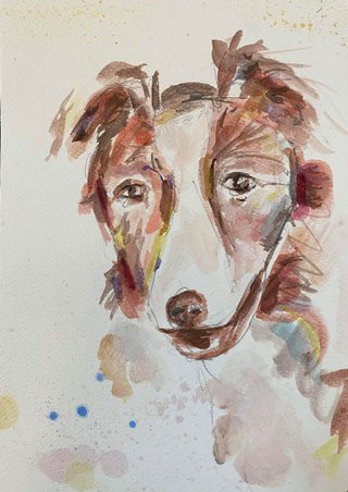 Pet Portrait (Commission)