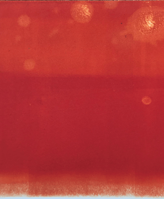Liquid Sunset